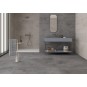 PAMESA DUPLOCEM 60x120 : Boite de 1,44m²